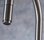 Astra 3-in-1 Pull-Out: Swan Neck - Gun Metal