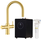 Astra 3-in-1 Pull-Out: Swan Neck - Gold