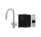 Platinum 4-in-1 Pull-Out: Swan Neck - Brushed Nickel