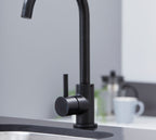Elera Single lever Swan Neck Mono Bloc Tap - Matt Black