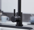 Elera Single lever Swan Neck Mono Bloc Tap - Matt Black