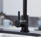 Elera Single lever Swan Neck Mono Bloc Tap - Matt Black