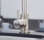 Elera Single Lever Swan Neck Mono Bloc Tap - Brushed Nickel