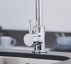 Elera Single Lever Swan Neck Mono Bloc Tap - Chrome