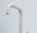 Elera D Single Lever D Shaped Mono Bloc Tap - Brushed Nickel