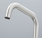 Elera D Single Lever D Shaped Mono Bloc Tap - Brushed Nickel