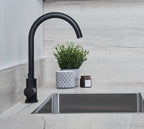 Elera Single lever Swan Neck Mono Bloc Tap - Matt Black