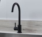 Elera Single lever Swan Neck Mono Bloc Tap - Matt Black