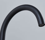 Elera Single lever Swan Neck Mono Bloc Tap - Matt Black