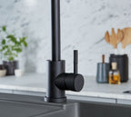 Elera Single lever Swan Neck Mono Bloc Tap - Matt Black