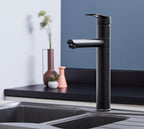 Aysgarth - Mono Bloc Single Tpo Lever , Round Body Tap - Matt Black