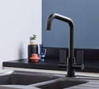 Malton Mono Bloc Twin Flat handles with D shaped spout - Matt Black