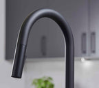 Platinum 4-in-1 Pull-Out: Swan Neck - Matt Black