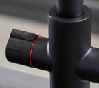 Platinum 4-in-1 Pull-Out: Swan Neck - Matt Black