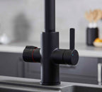 Platinum 4-in-1 Pull-Out: Swan Neck - Matt Black