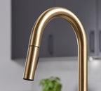 Platinum 4-in-1 Pull-Out: Swan Neck - Brushed Gold