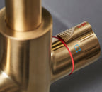 Platinum 4-in-1 Pull-Out: Swan Neck - Brushed Gold