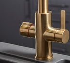 Platinum 4-in-1 Pull-Out: Swan Neck - Brushed Gold