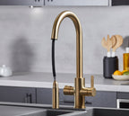 Platinum 4-in-1 Pull-Out: Swan Neck - Brushed Gold