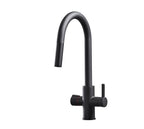 Platinum 4-in-1 Pull-Out: Swan Neck - Matt Black