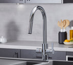 Platinum 4-in-1 Pull-Out: Swan Neck - Chrome
