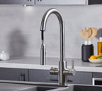 Platinum 4-in-1 Pull-Out: Swan Neck - Brushed Nickel