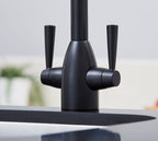 Richmond Twin Lever Mono Bloc Tap - Matt Black