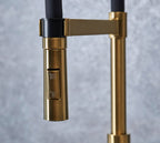 Malham Flexi Pull Down, Dual lever tap
- Brushed Brass