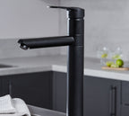 Aysgarth - Mono Bloc Single Tpo Lever , Round Body Tap - Matt Black