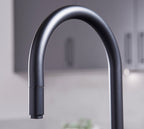 Astra 3-in-1 Pull-Out: Swan Neck - Matt Black