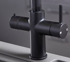 Astra 3-in-1 Pull-Out: Swan Neck - Matt Black