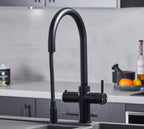 Astra 3-in-1 Pull-Out: Swan Neck - Matt Black