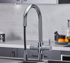 Astra 3-in-1 Pull-Out: Swan Neck - Chrome