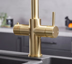 Astra 3-in-1 Pull-Out: Swan Neck - Gold