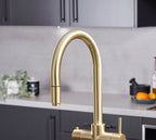 Astra 3-in-1 Pull-Out: Swan Neck - Gold
