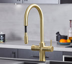 Astra 3-in-1 Pull-Out: Swan Neck - Gold