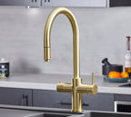 Astra 3-in-1 Pull-Out: Swan Neck - Gold